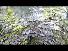 크롤러 트렌치리스 기계 임대 CCTV 파이프 라인 검사 수리 고정 핀